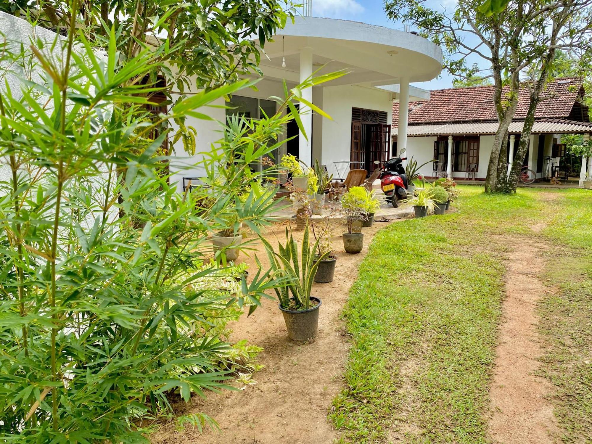 Sasmika Villa Surf And Yoga Hostel Weligama Exterior photo