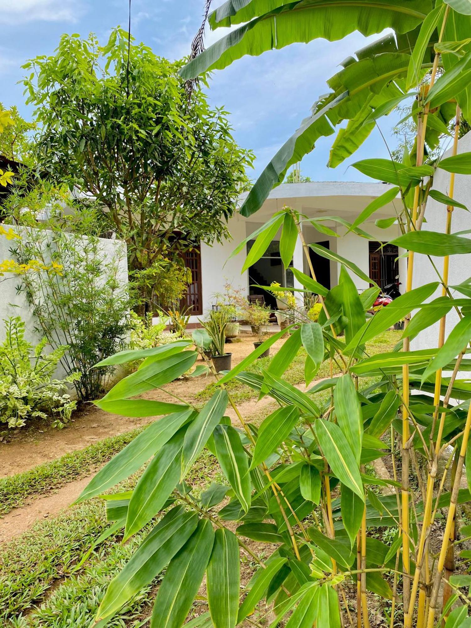 Sasmika Villa Surf And Yoga Hostel Weligama Exterior photo